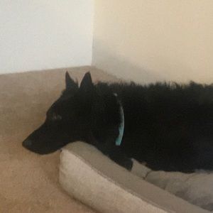 Meet your Posher, Kevin